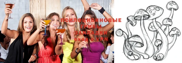 молекула духа Баксан